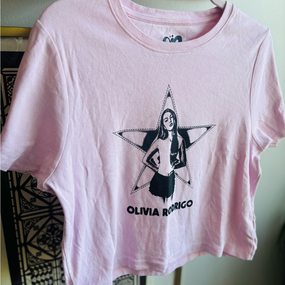 Olivia Rodrigo Pink Graphic Crop Shirt Tee size 2X